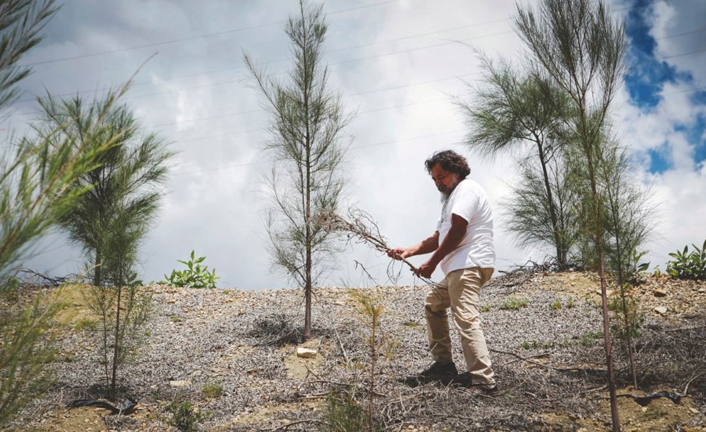 “El Quijote” que impulsa la reforestación