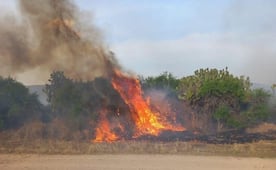 Incendios se vuelven constantes en la capital de SLP; reportan hasta uno diario en la zona norte