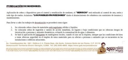 Van por ratas y piojos: Presidencia lanza licitación para acabar con fauna nociva en Palacio Nacional