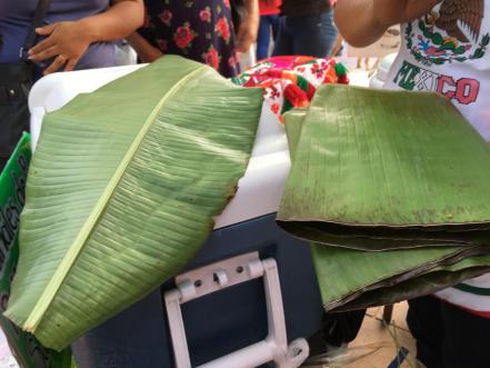 Tamales 'chilpanados' de puerco con sarabando, herencia de María Vicenta en la Huasteca potosina