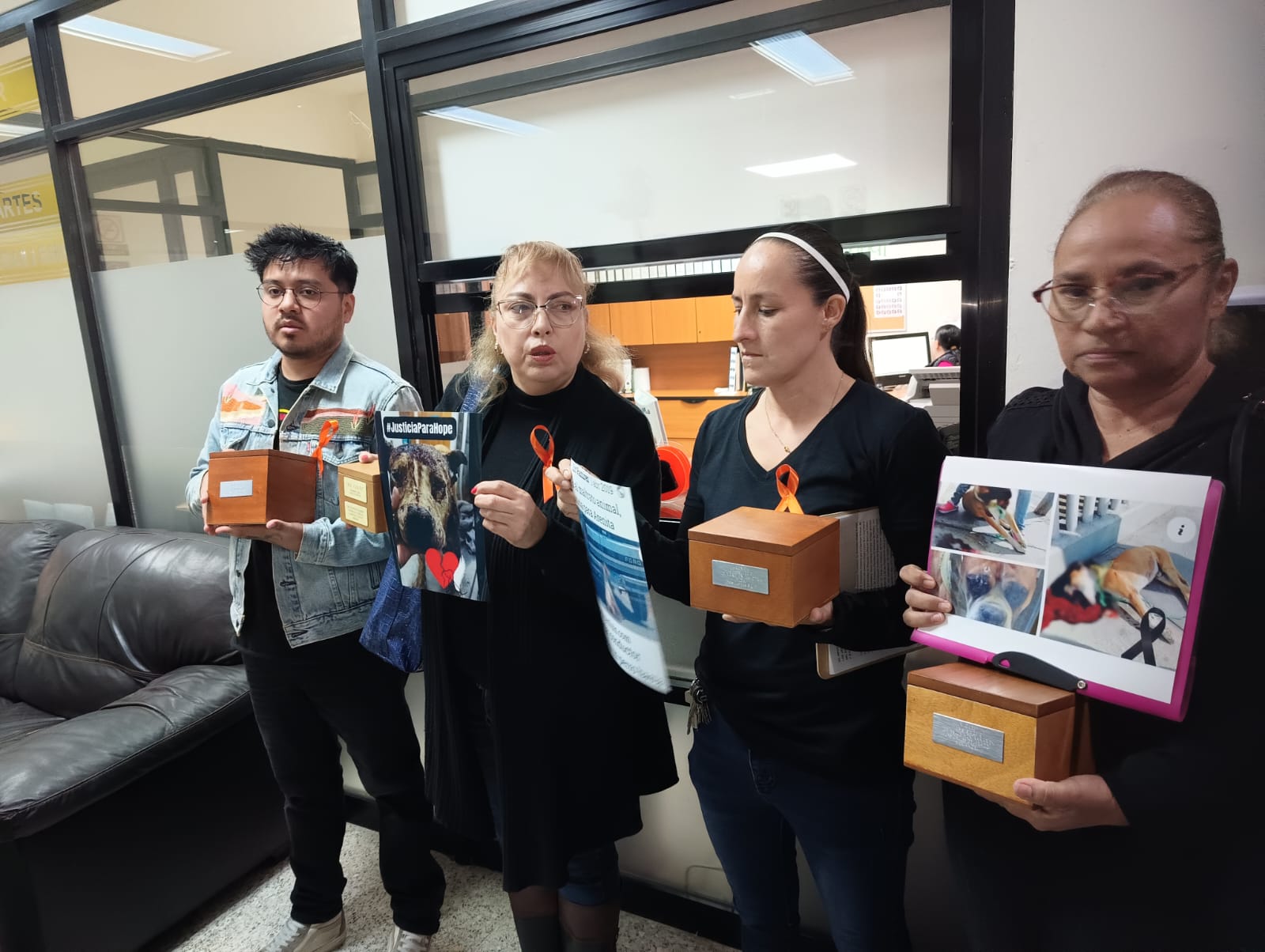 Colectivos presentan iniciativa para endurecer penas contra quienes maltratan animales en San Luis Potosí . Foto: Jazmín Ramírez García