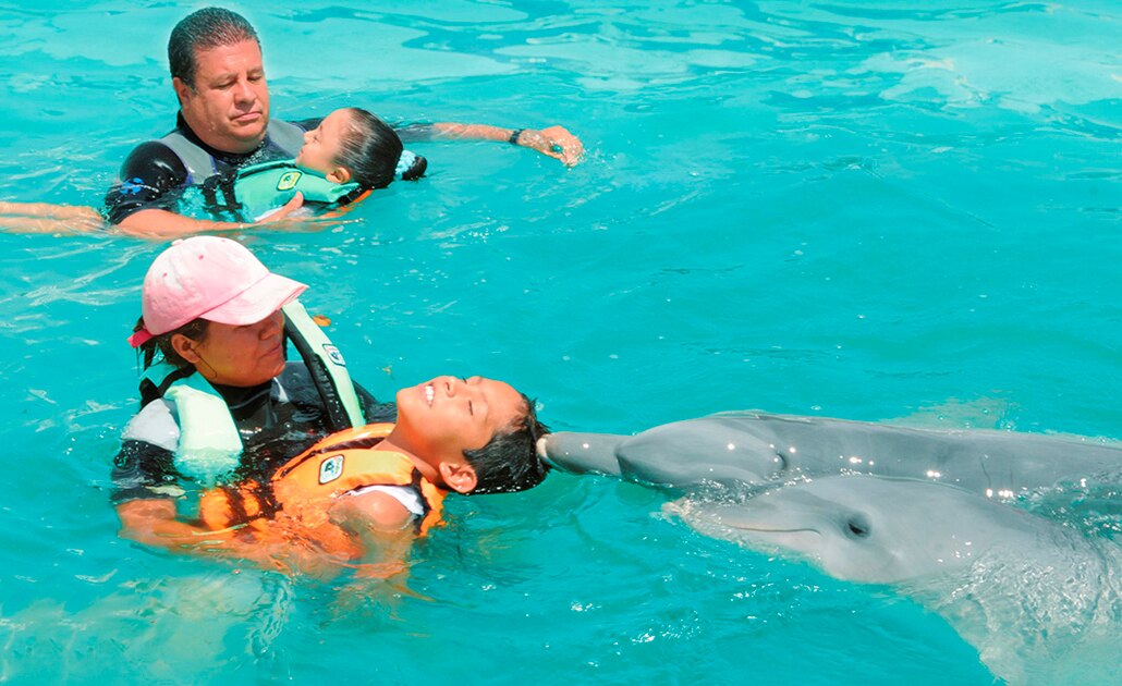 Programa de “Delfinoterapia” registró irregularidades en anterior administración: DIF