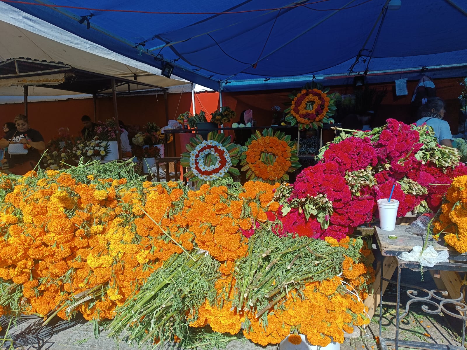 Foto: Xochiquetzal Rangel