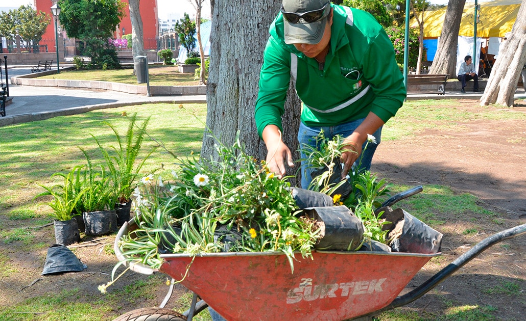 Realizan campaña de reforestación en Villa de Pozos