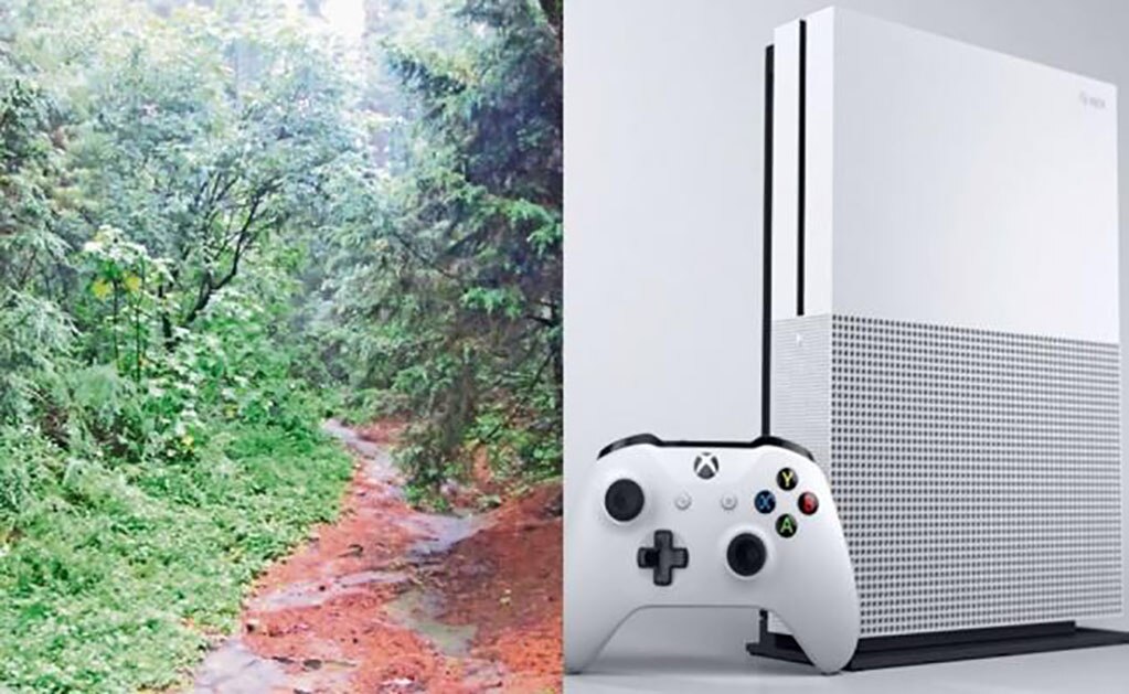 Stewart llevó a los detectives a una zona boscosa en el condado de Kalamazoo, en donde enterró a Venus Stewart, de 32 años. Foto: Archivo / EL UNIVERSAL