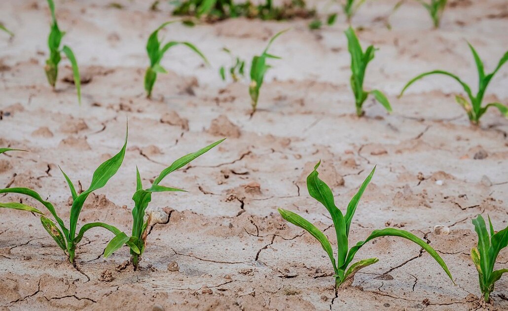 Foto ilustrativa | Pixabay