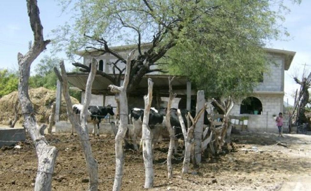 Alerta Protección Civil por temperaturas de hasta 45 grados en la Huasteca