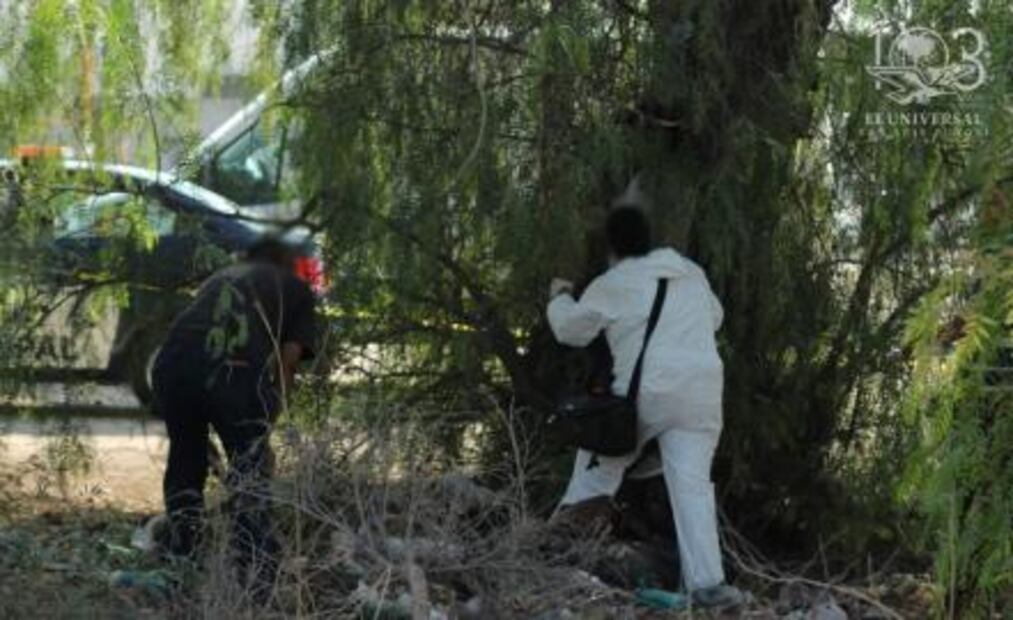 Encuentran a mujer sin vida, podría tratarse de otro feminicidio en SGS
