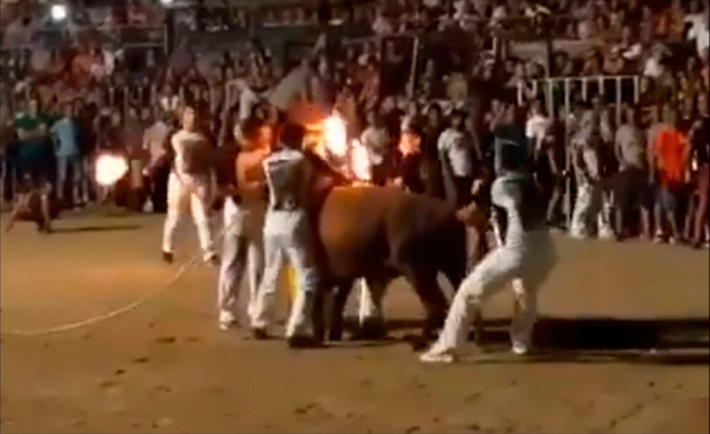 (VIDEO) Denuncian salvajismo durante una corrida de toros