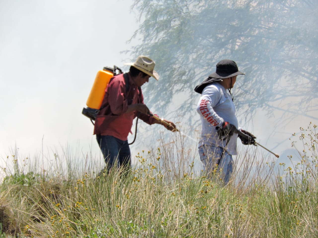 Continúan activos cuatro incendios forestales en SLP; aeronave colabora en combate