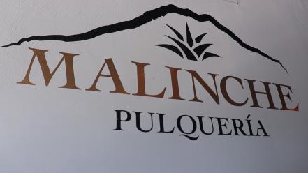 La Malinche, pulque tlaxcalteca en SLP