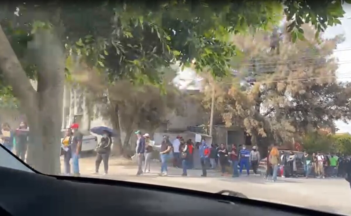 Foto: Samuel Estrada