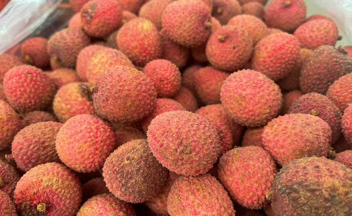 Litchi, el "oro rosa" que se cultiva en la Huasteca potosina. Fotos: Cortesía