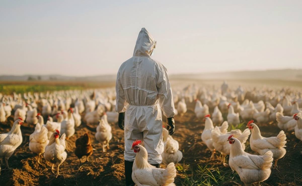 De acuerdo con un comunicado de la OMS, el pasado 23 de mayo recibió una notificación de un caso mortal confirmado de infección humana detectado en un residente del Estado de México. Foto: Freepik