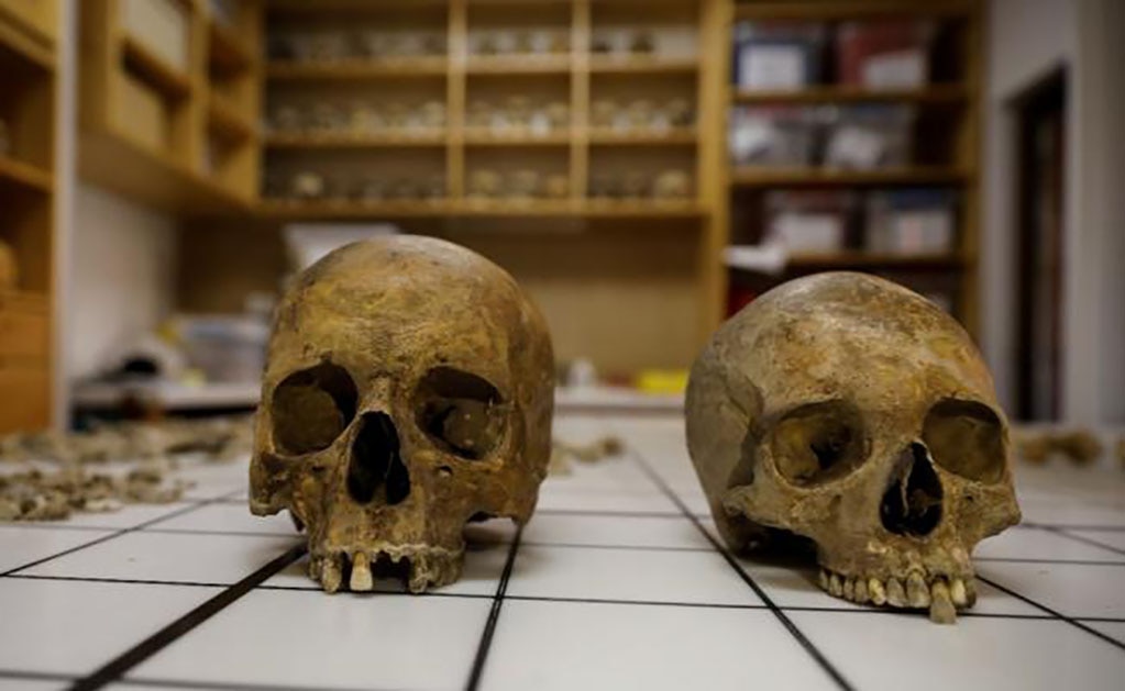 Cráneos que corresponden a un hombre y una mujer, encontrados dentro de un sarcófago romano. Foto: Marko Djurica/Reuters