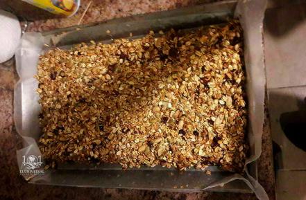 Crean alumnas de la UASLP galletas de chapulín