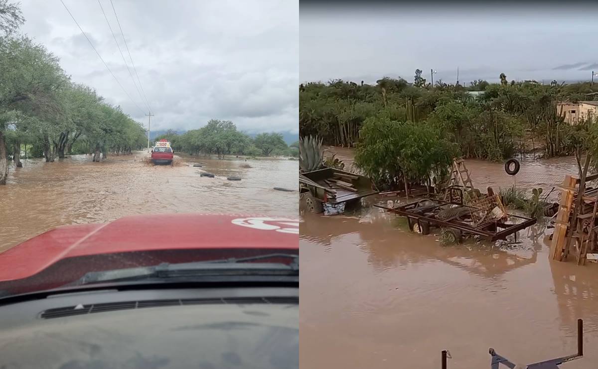 La Coordinación Estatal de Protección Civil (CEPC), informó que se han desplegado a brigadas de apoyo en todo San Luis Potosí. Foto: Especial