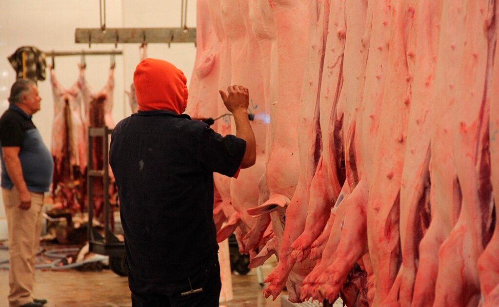 Más de 20 mdp costaría mejorar instalaciones del rastro de B. Anaya 