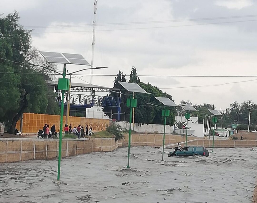 Árboles caídos, inundaciones y autos arrastrados deja lluvia en zona metropolitana de SLP