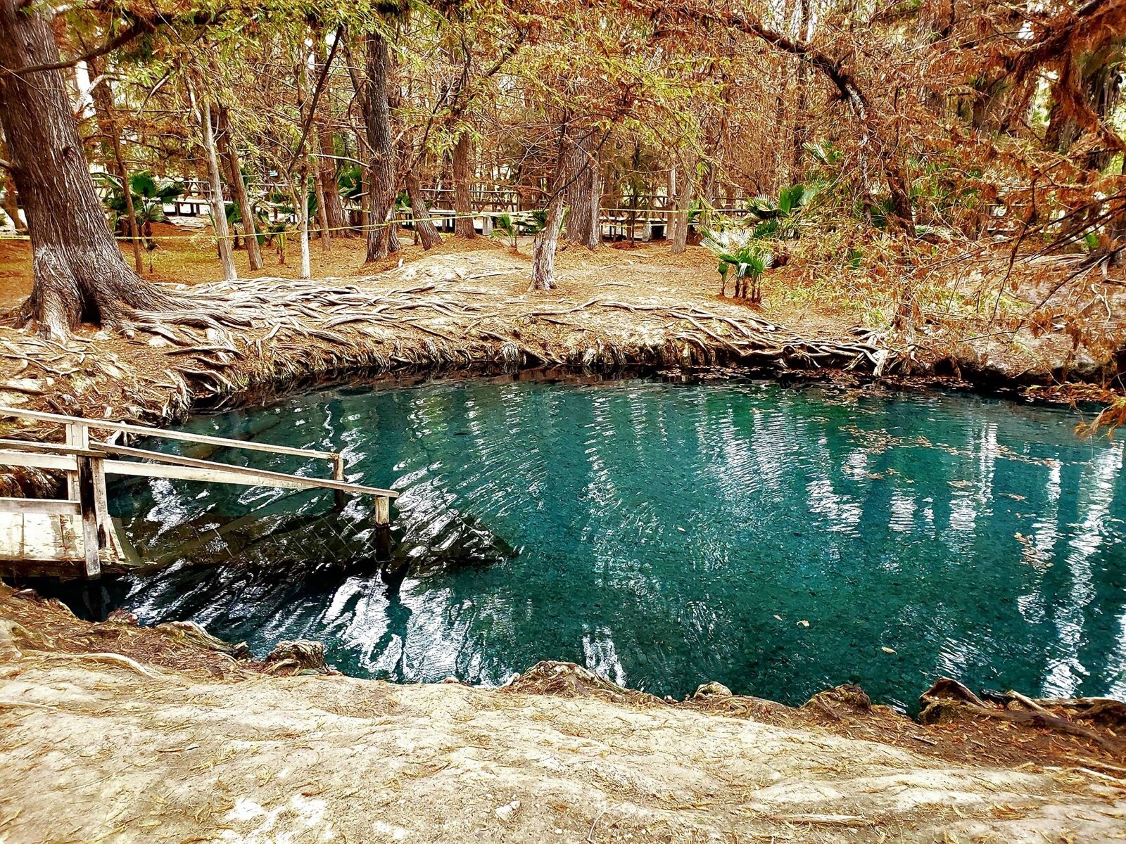 Manantial de la Media Luna, de los destinos favoritos en SLP
