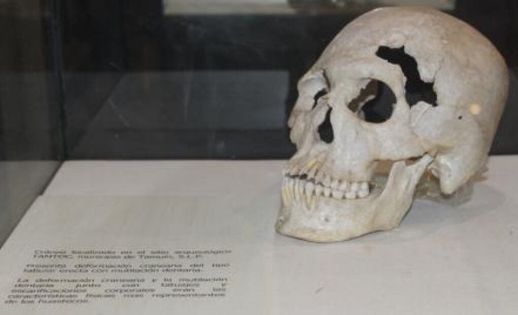 Museo Tamuantzán, el guardián de la cultura Huasteca en Ciudad Valles, SLP