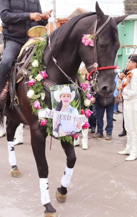 FOTOS. Con semblante triste, la "gorda Tomasa", yegua favorita de Erika Briones, le da último adiós