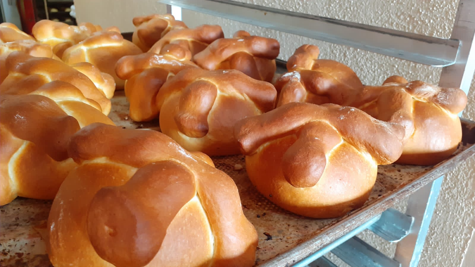 Pan de muerto de la Panadería Artesanal en SLP