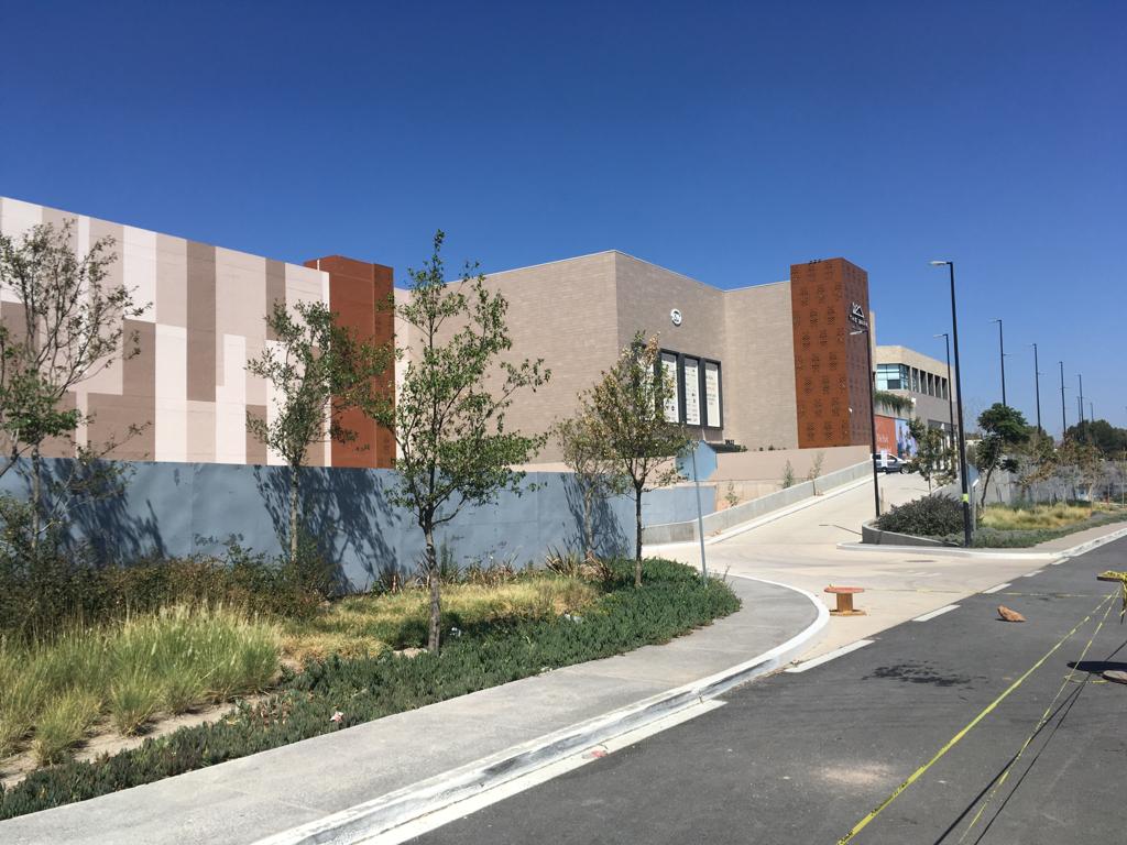 Foto: Samuel Estrada