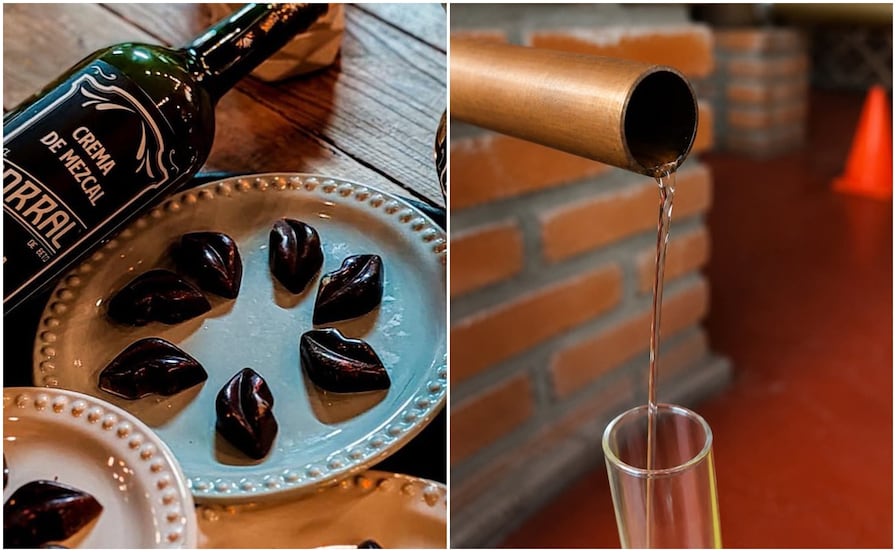 Así es el mezcal potosino que se llevó el oro en la Copa Cerveza San Luis Rey