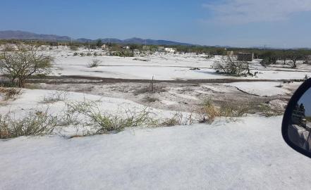 #Actualización. Protección Civil supervisa zona de desastre en Venado, SLP