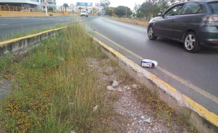 Maleza y basura afectan circulación en avenida Salvador Nava