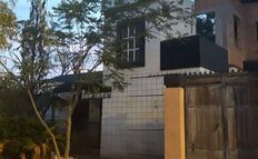 Denuncian presunto criadero clandestino con perritos abandonados y muertos en Milpillas, SLP