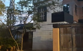 Denuncian presunto criadero clandestino con perritos abandonados y muertos en Milpillas, SLP