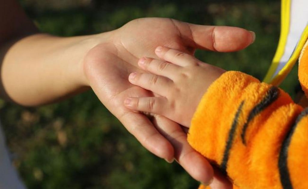 Imagen ilustrativa. FOTO: Archivo EL UNIVERSAL