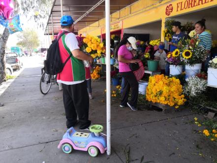 Floristas piden a autoridades de SLP abrir panteones en Día de Muertos