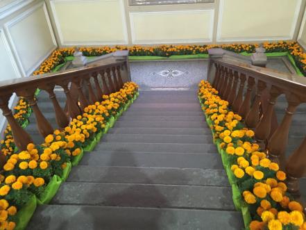 Ayuntamiento de SLP plantará cempasúchil para decoración del próximo año