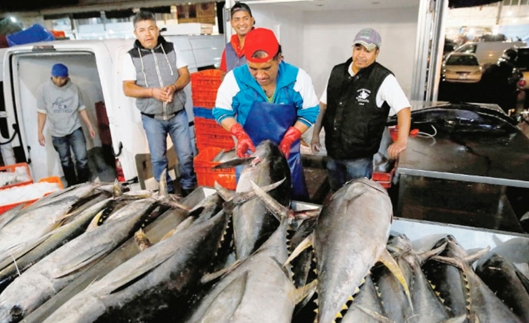 Expertos explican por qué agregan soya a latas de atún