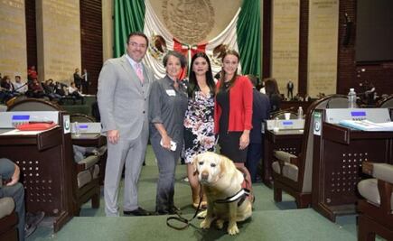 Avalan diputados ley para que perros guía puedan acceder a espacios públicos