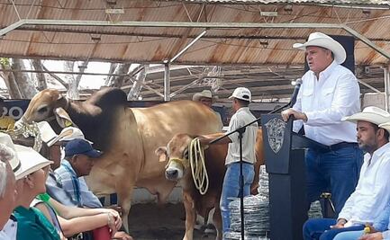 Caso de gusano barrenador en Veracruz pone en alerta a SLP, advierte Secretaría de Desarrollo Agropecuario  