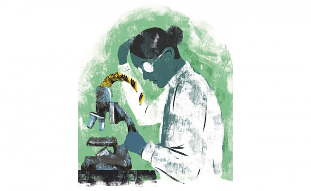 Foto: Archivo. El Universal.