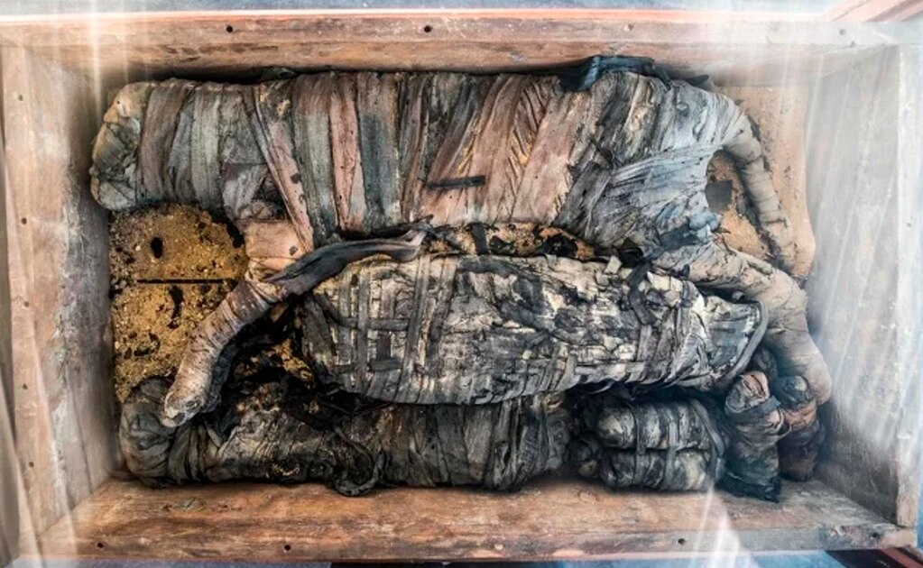 Hallan momias de animales en Egipto