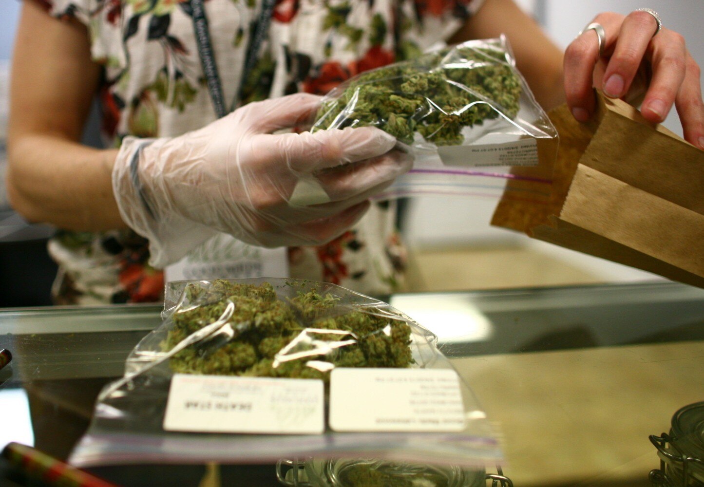 Improcedente uso medicinal de la marihuana en SLP