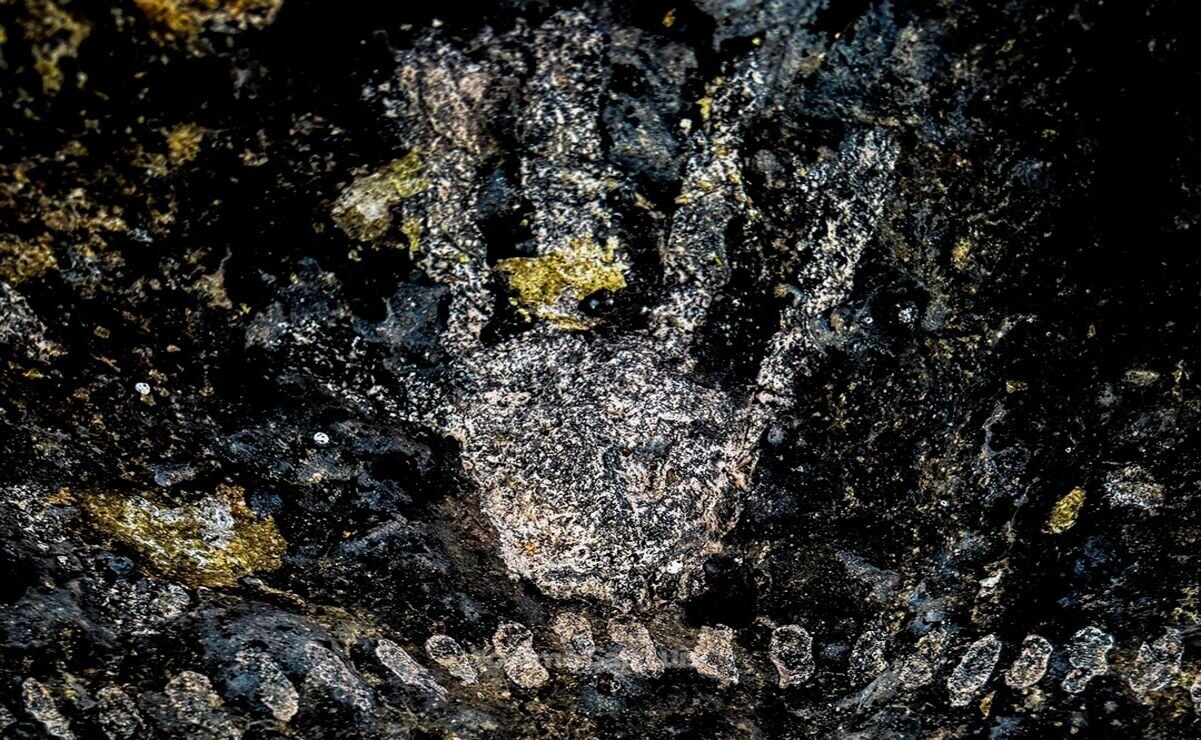 Pinturas rupestres hechas desde antes de Cristo en San Luis Potosí: ¿dónde se encuentran?