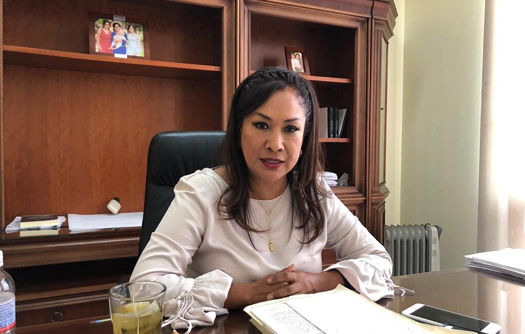 Ley de Protección a Madres Solteras no sería la única ley que no se aplica: Sonia Mendoza