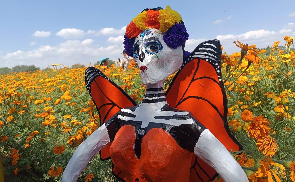 Con corte simbólico de flor de cempasúchil inicia Festival de Día de Muertos en Soledad 