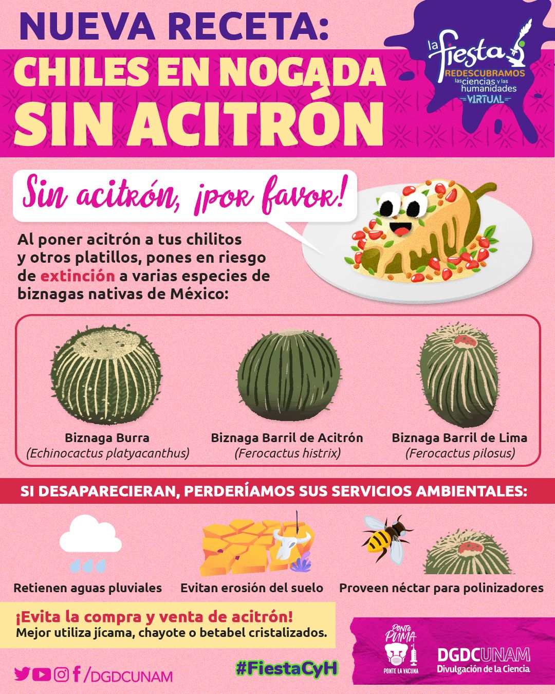 Foto: Divulgación de la Ciencia, UNAM.