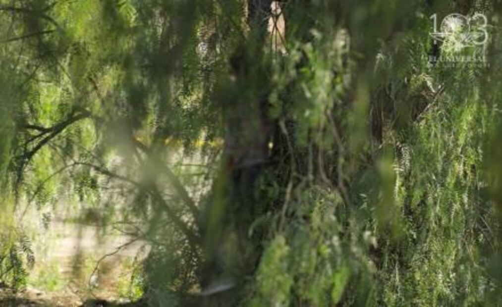 Encuentran a mujer sin vida, podría tratarse de otro feminicidio en SGS