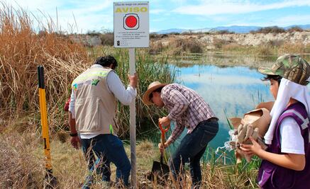 IPICYT busca reconocimiento por investigación de arsénico en Matehuala