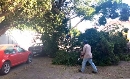 Protección Civil se mantiene alerta por fuerte vientos