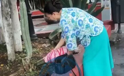 Se castigará a quienes roben o dañen plantas de jardines municipales, sentencia Ayuntamiento de SLP